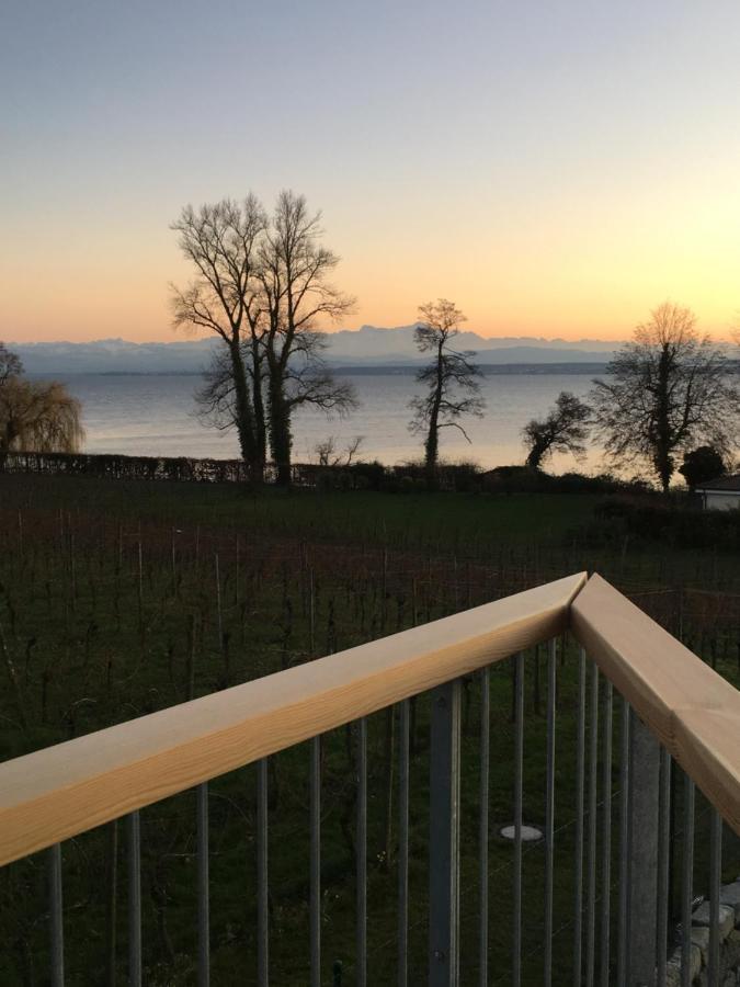 Appartementhotel Roehrenbach Immenstaad am Bodensee Exterior photo